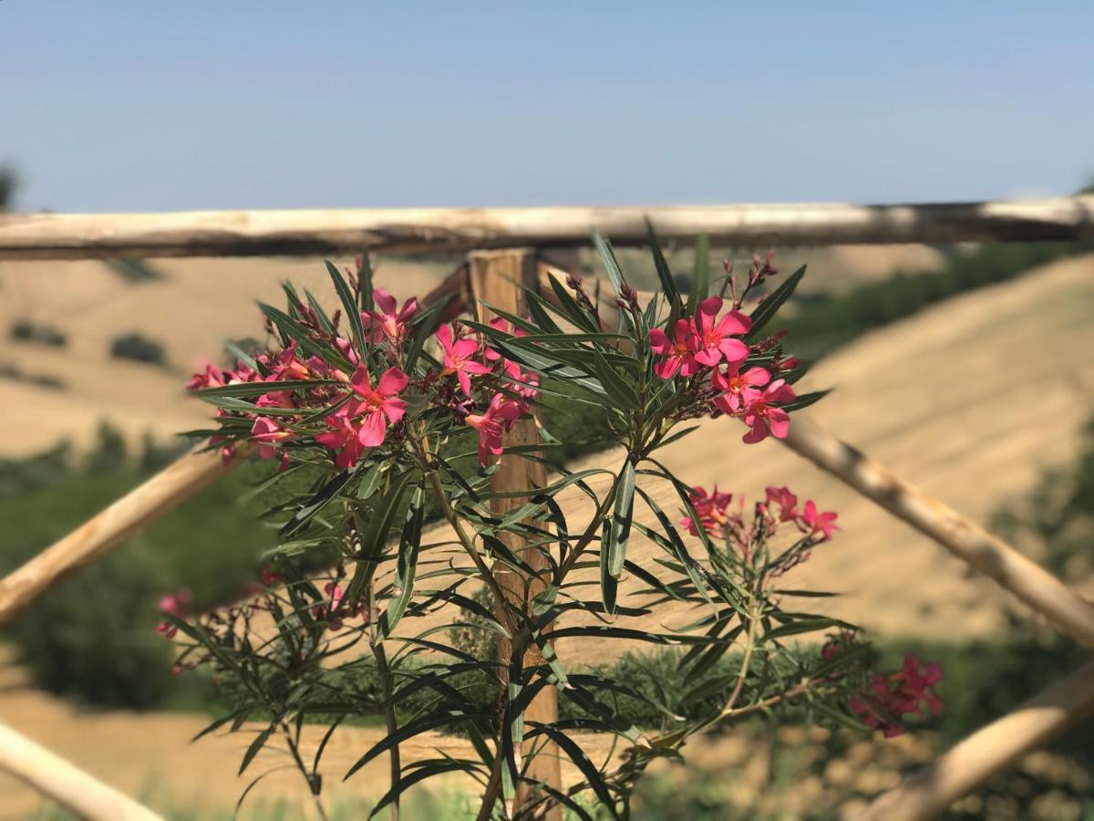 مبيت وإفطار Santa Maria Nuova  Il Posto Perfetto المظهر الخارجي الصورة